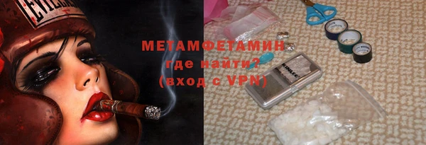 шишки Белокуриха
