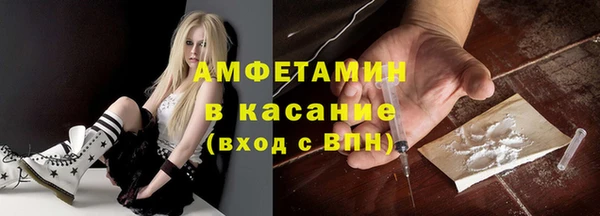 шишки Белокуриха