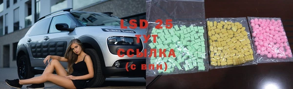 шишки Белокуриха