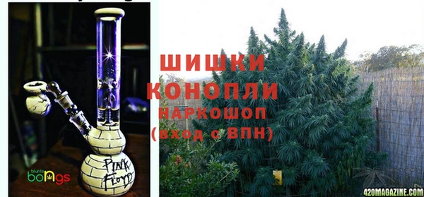 шишки Белокуриха