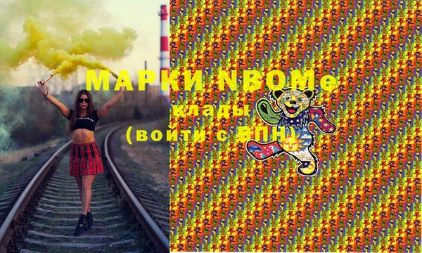 шишки Белокуриха