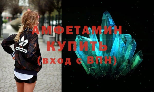 шишки Белокуриха
