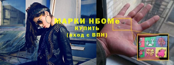 шишки Белокуриха
